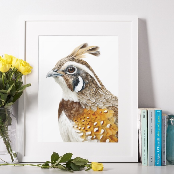 Watercolor Quail Wall Art Print, Unframed - Vibrant Nature-Inspired Home Decor - Picture 6 of 6